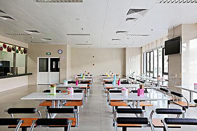 《奇异人生：双重曝光》预告片 10月29日发售